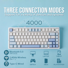 Aula F75 EN Layout Mechanical keyboard White + Blue + Purple switch