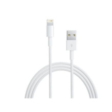 APPLE Lightning to USB...