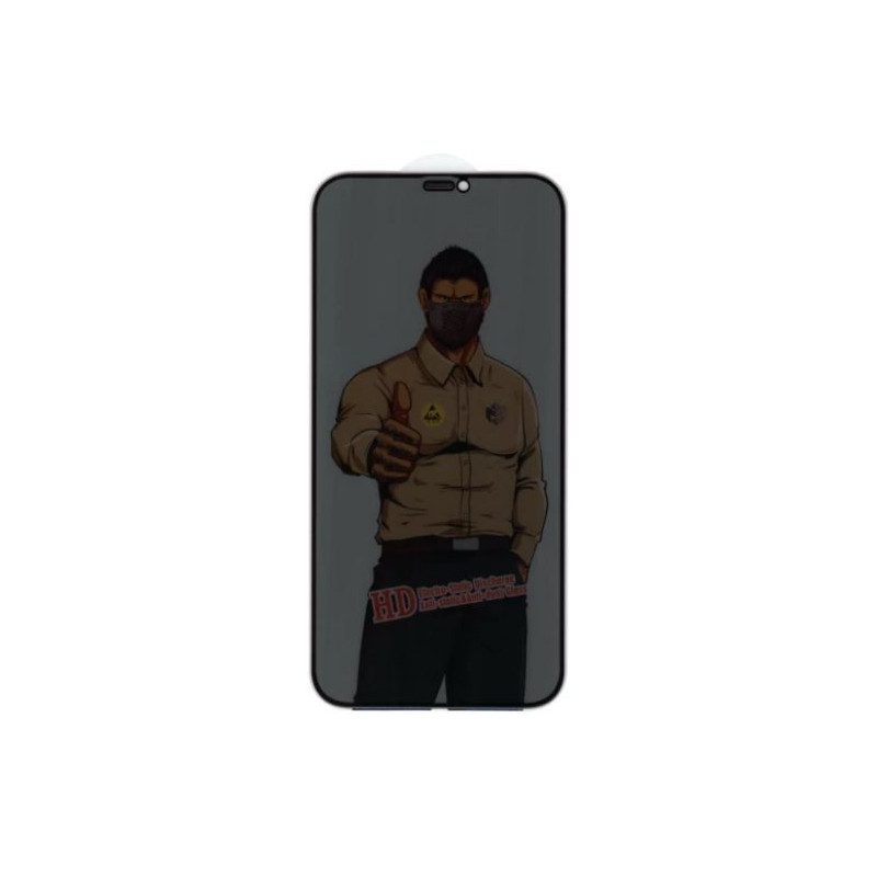 LCD apsauginis stikliukas "Privacy ESD Anti-Static Dust Proof" Samsung S947 S26 Plus be įpakavimo