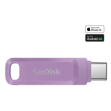 ATMINTINĖ USB-C 512GB /...