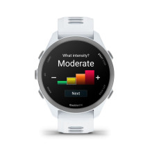 Garmin Forerunner 170 Music, Whitestone with Whitestone / Cloud Blue Band