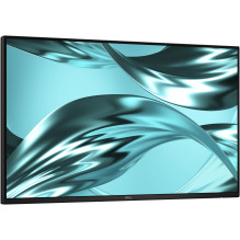 Monitorius - Dell Pro 24 Plus P2426H 24" Full HD 120Hz USB centras Juodas