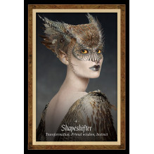 Blue Angel The Faery Forest Oracle Kortos