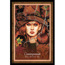 Blue Angel The Faery Forest Oracle Kortos