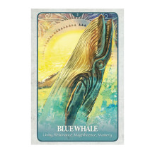 Blue Angel The Secret Language Of Animals Oracle Kortos