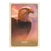 Blue Angel The Secret Language Of Animals Oracle Kortos