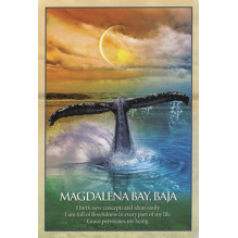 Blue Angel Earth Power Oracle Cards