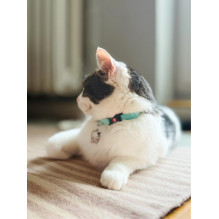 Pet Supplies - ZOLUX Chatouille Cat Collar (up to 200g, 20mm, blue)