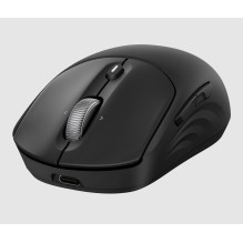 Computer Mouse - HP 705 Wireless, Multifunction, 6000 DPI, Black