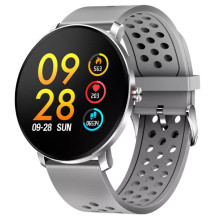 Denver SW-171 grey Denver SW-171 grey