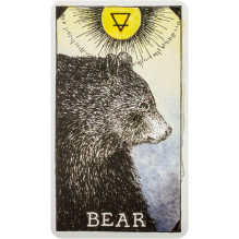 Taro Kortos The Wild Unknown Pocket Animal Spirit Harper One Taro Kortos The Wild Unknown Pocket Animal Spirit Harper One