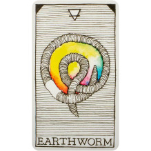 Taro Kortos The Wild Unknown Pocket Animal Spirit Harper One Taro Kortos The Wild Unknown Pocket Animal Spirit Harper One