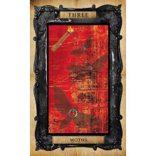 Kortų rinkinys - The Gothic Steampunk Tarot (Cico Books, 78 kortos, 64 puslapių gidą) Kortų rinkinys - The Gothic Steampunk Tarot (Cico Books, 78 kortos, 64 puslapių gidą)