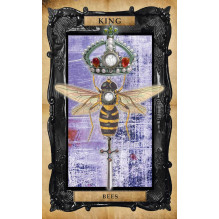Kortų rinkinys - The Gothic Steampunk Tarot (Cico Books, 78 kortos, 64 puslapių gidą) Kortų rinkinys - The Gothic Steampunk Tarot (Cico Books, 78 kortos, 64 puslapių gidą)