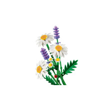 LEGO BOTANICALS 11508 Ramunės LEGO BOTANICALS 11508 Ramunės