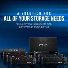 PNY CS1030 2TB M.2 2280 PCI-E x4 Gen3 NVMe SSD PNY CS1030 2TB M.2 2280 PCI-E x4 Gen3 NVMe SSD