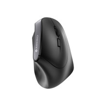 Input Device - Cherry Mouse...