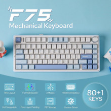 Aula F75 EN White / Blue / Purple switch