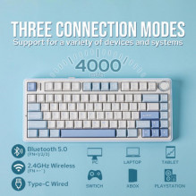 Aula F75 EN White / Blue / Purple switch