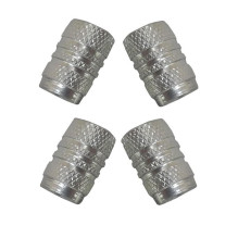 SN Car Wheel Valve Caps Set