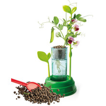 Kūrybos rinkinys Clementoni Botany 50924 Kūrybos rinkinys Clementoni Botany 50924