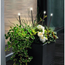 Luminaire Viokef Bar, 1W, LED, IP65, black, 1 cm x 50 cm Luminaire Viokef Bar, 1W, LED, IP65, black, 1 cm x 50 cm