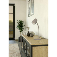 Darbo stalo šviestuvas Eglo Carlo 901829, E14, 18W