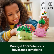 KONSTR ROCKING PLANTS KONSTR ROCKING PLANTS