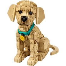 Constructor LEGO® Icons Gold Retr. Puppy 11384, 2102 pcs