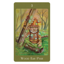 Mushroom Folk Oracle kortos Blue Angel Mushroom Folk Oracle kortos Blue Angel