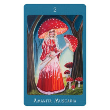 Mushroom Folk Oracle kortos Blue Angel Mushroom Folk Oracle kortos Blue Angel
