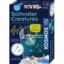 Educational set Kosmos Saltwater Creatures Educational set Kosmos Saltwater Creatures
