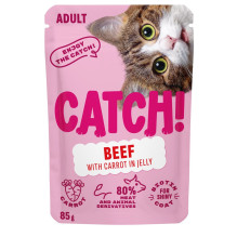 CATCH Beef and carrot in...