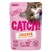 CATCH Chicken and carrot in...
