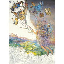 Enchanted Fairies Coloring Book Blue Angel
