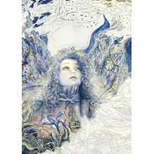 Enchanted Fairies Coloring Book Blue Angel