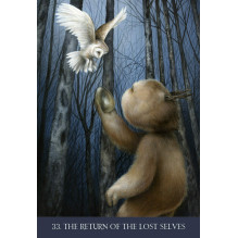 Into The Lonely Woods Oracle Cards Blue Angel Into The Lonely Woods Oracle Cards Blue Angel