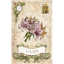 Old Style Lenormand Cards US Games Systems Old Style Lenormand Cards US Games Systems