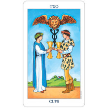 Radiant Raider Waite Tarot Cards in Metal Box US Games Systems
