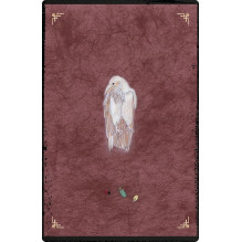 The Oracle of Rewilding cards by Weiser Books The Oracle of Rewilding cards by Weiser Books