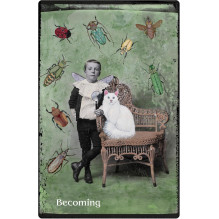 The Oracle of Rewilding cards by Weiser Books The Oracle of Rewilding cards by Weiser Books