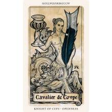 The Medieval Feathers Tarot Cards Blue Angel