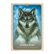 The Secret Language of Animals Oracle Cards Blue Angel The Secret Language of Animals Oracle Cards Blue Angel