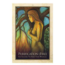Gaia Oracle Cards Blue Angel