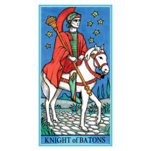 Dame Fortune's Wheel Tarot Cards Lo Scarabeo Dame Fortune's Wheel Tarot Cards Lo Scarabeo