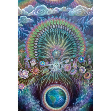 Beyond Lemuria Oracle pocket kortos Blue Angel Beyond Lemuria Oracle pocket kortos Blue Angel