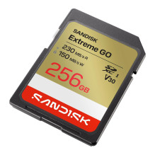 ATMINTINĖ SDXC 256GB UHS-I / SDSDXGN-256G-GNCIN SANDISK