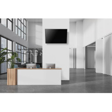 TV SET ACC WALL MOUNT / WL35-750BL14 NEOMOUNTS