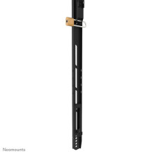 TELEVIZORIAUS ACC MONTAVIMAS prie sienos / WL30-750BL18P NEOMOUNTS