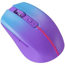 Belaidė Pelė - Mouse...